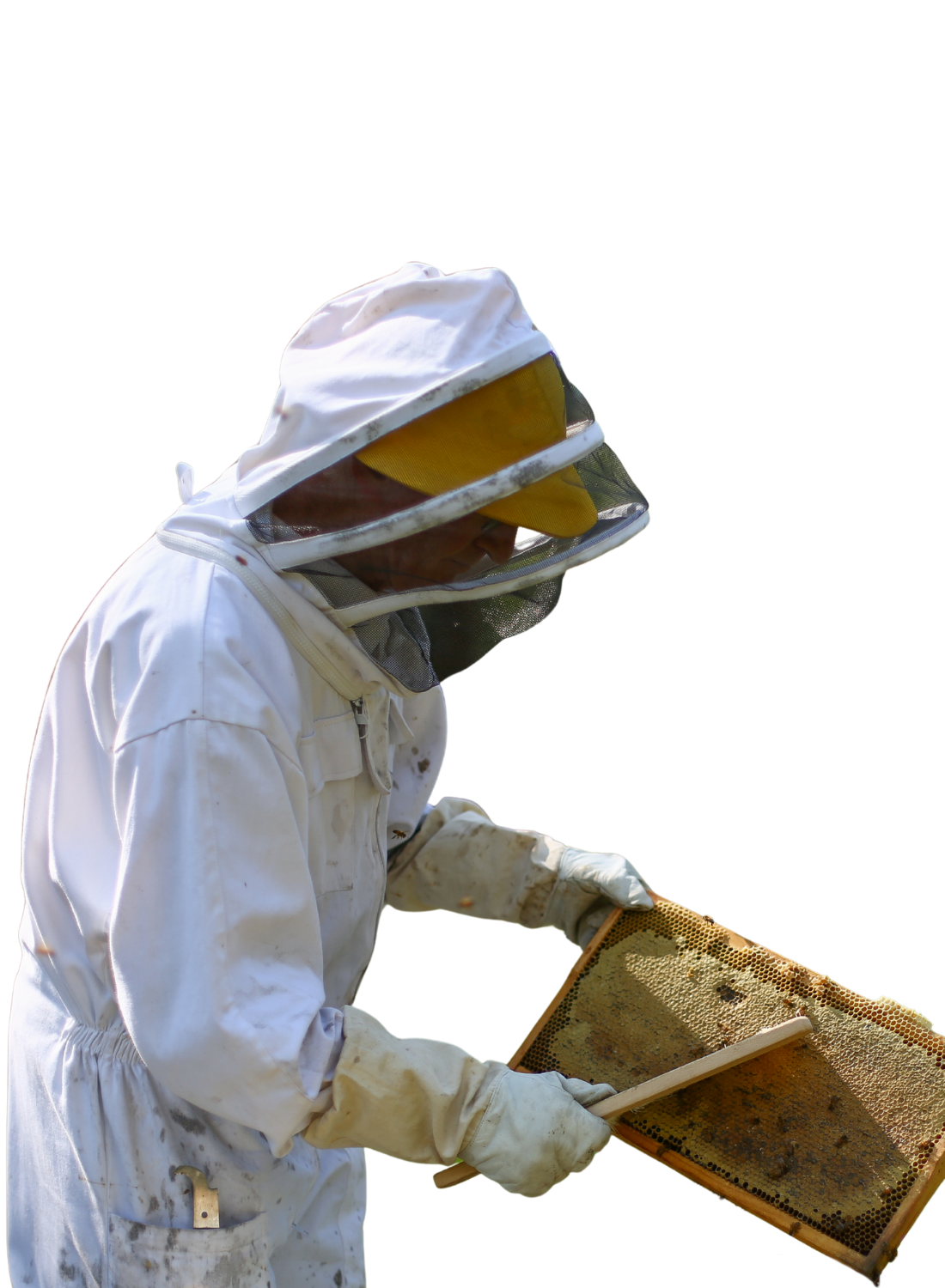 Beekeeper3