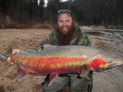 Buck caught on a steelhead bead