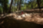 Finn_Roost_Header-127.jpg