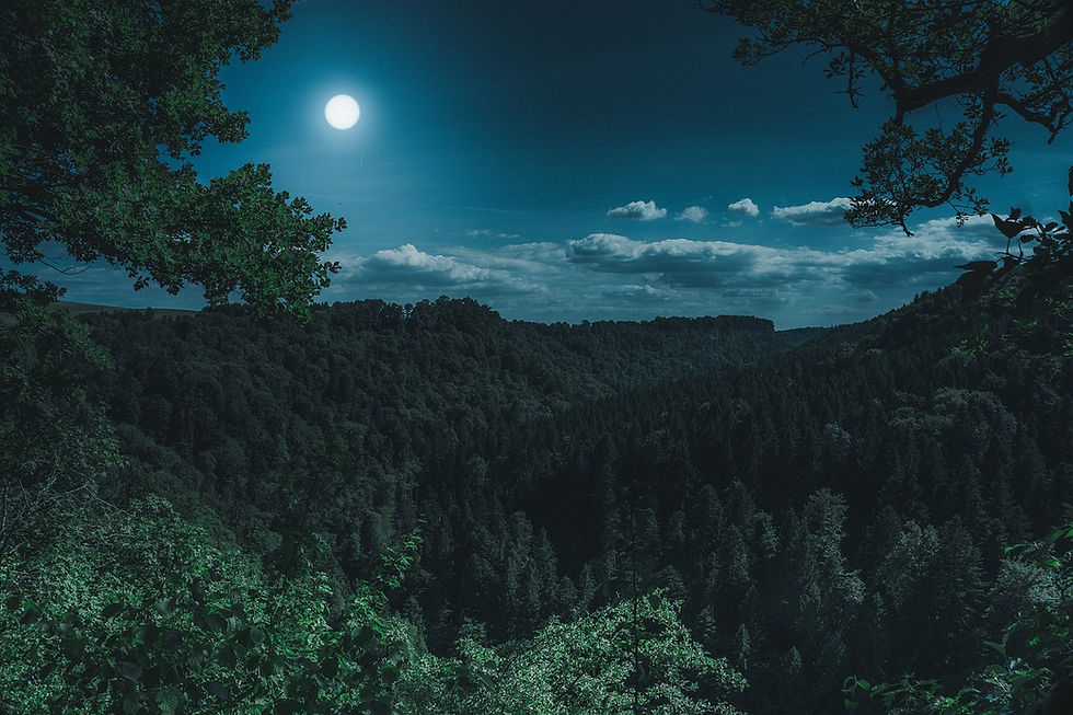 Unterwegs durch die Nacht