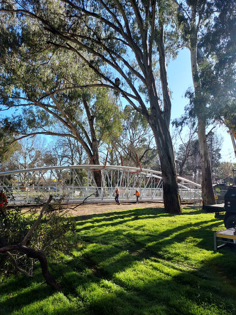 Bell River Pedestrian Bridge, Wellington