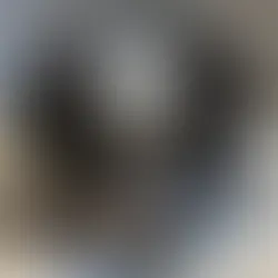チワワ(ロング)♂