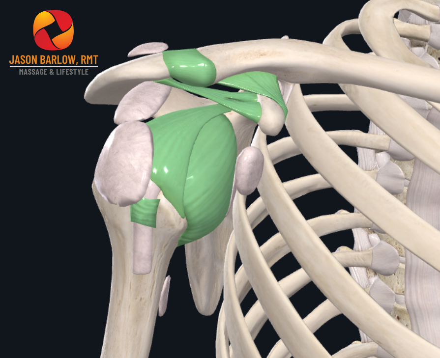 5 Step Solution for Shoulder Stiffness