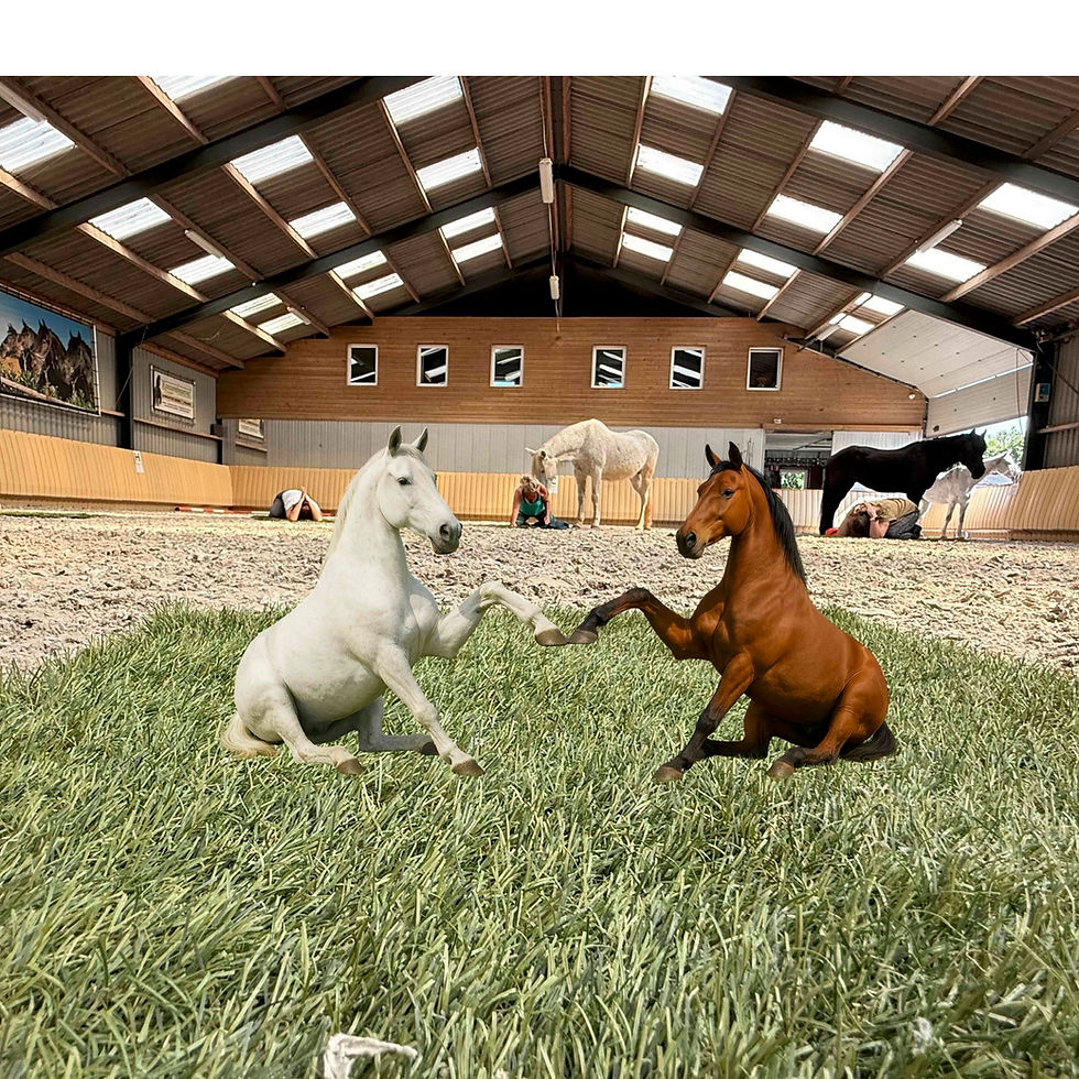 Yoga bij de paarden⦠wat een fijne les weer šš“