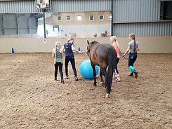 PonyTeamVoetbal.jpeg