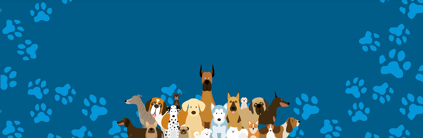 Screen Shot 2022-03-18 at 13.21.17.png