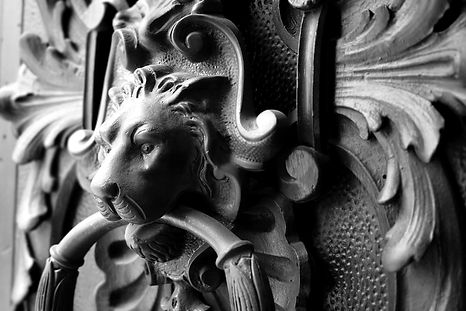 Lion detail