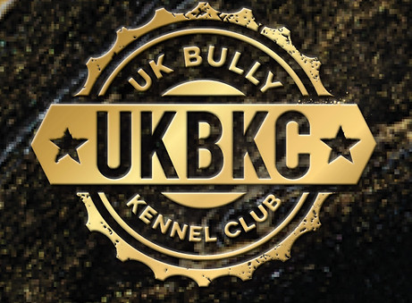 UKBKC’s 2nd EDITON Skiddle Pop-up_edited.jpg