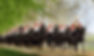 PA-10540864.jpg