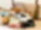 AdobeStock_474656127.jpeg