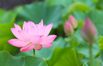 ご相談･お見積は､無料