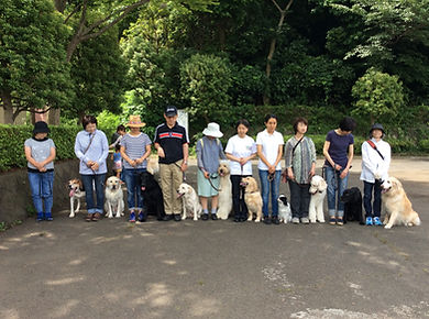公園団体教室開催! たかはし愛犬訓練学校