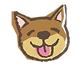 犬のしつけのことならたかはし愛犬訓練学校