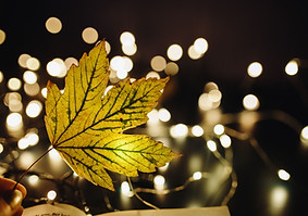 Leaf