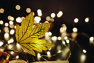 Leaf