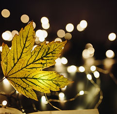 feuille