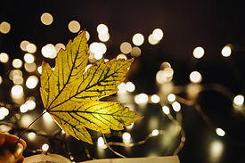 Leaf