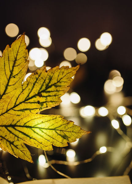 Leaf