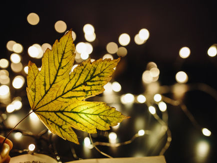 🌟 Upcoming Events in the West Island You Won’t Want to Miss!