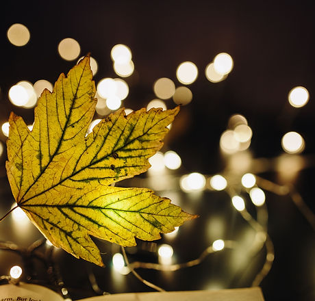Leaf