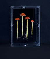 003