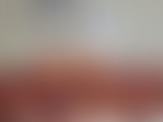 Mujer intenta ingresar a Texas con 748 libras de mortadela mexicana