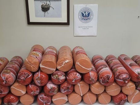 Mujer intenta ingresar a Texas con 748 libras de mortadela mexicana