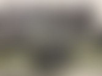 Hallan arma de guerra dentro de equipaje en el Aeropuerto de San Antonio