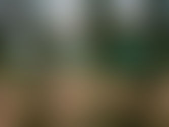 Guardia Nacional de Texas puede detener a migrantes que entraron ilegalmente al país