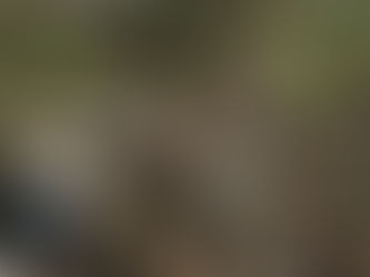 185 muertos y tres desaparecidos es el saldo de las inundaciones en Texas