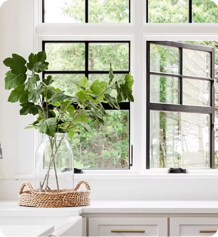 Window Replacement Contractor