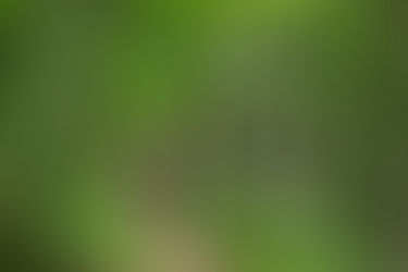 Take a Ride on the Dry Side