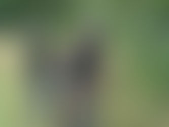 TNR at French's Ledges