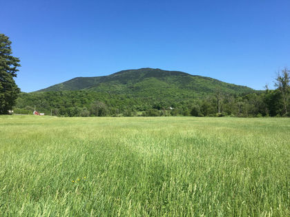 TNR Returns to Ascutney
