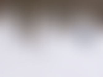 Winter Backcountry Trail Days