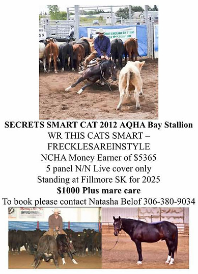 Secrets Smart Cat.jpg