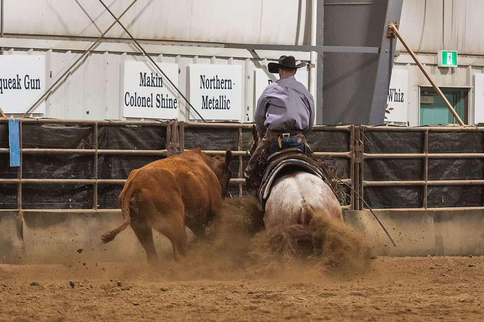Open Futurity-Sabres Blue Boon (by Scooters Red Oak) Tyler Darroch