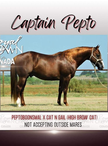 Captain Pepto.jpg