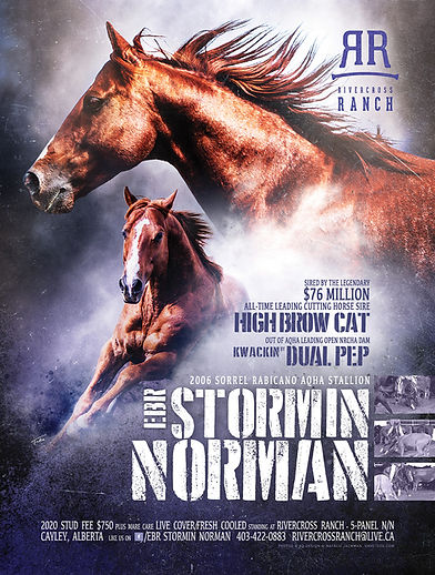 ebr_stormin_norman.jpg