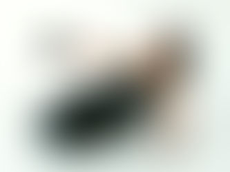 A Beginner’s Guide to Low-Impact Strength Training 