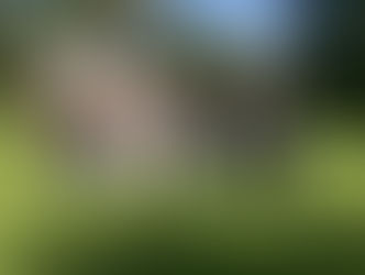 12. årg. kunstprofil på opdagelse på NordArt