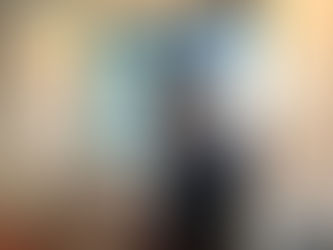 Alumner hjælper Duborg-elever på vej