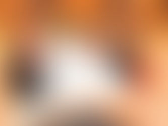 Brobygning i uge 43: Kom og prøv livet som Duborg-elev!