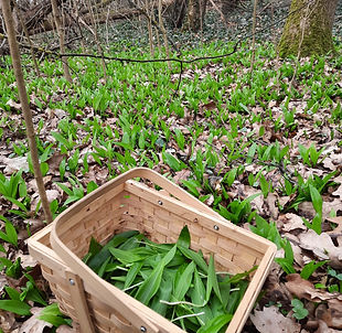 IMG-20240909-WA0044 (1).jpg