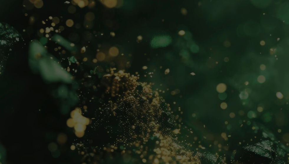 LCS 50th Anniversary Background. 2pdf.jpeg