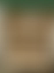 Advancing Airport Security: Luxembourg Airport Cocaine Seizure Highlights Screening Challenges