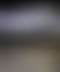 Strengthening Airport Security: Detecting Evolving Smuggling Methods