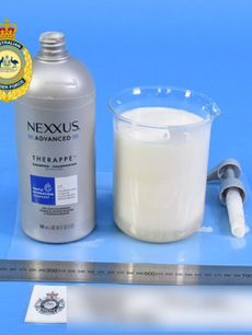 Enhancing Border Security: Detecting Concealed Substances