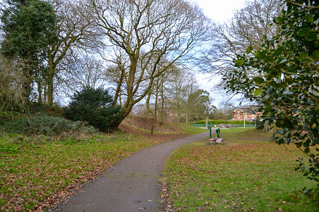 DSC_8540.jpg