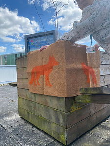 IMG_4306.jpeg